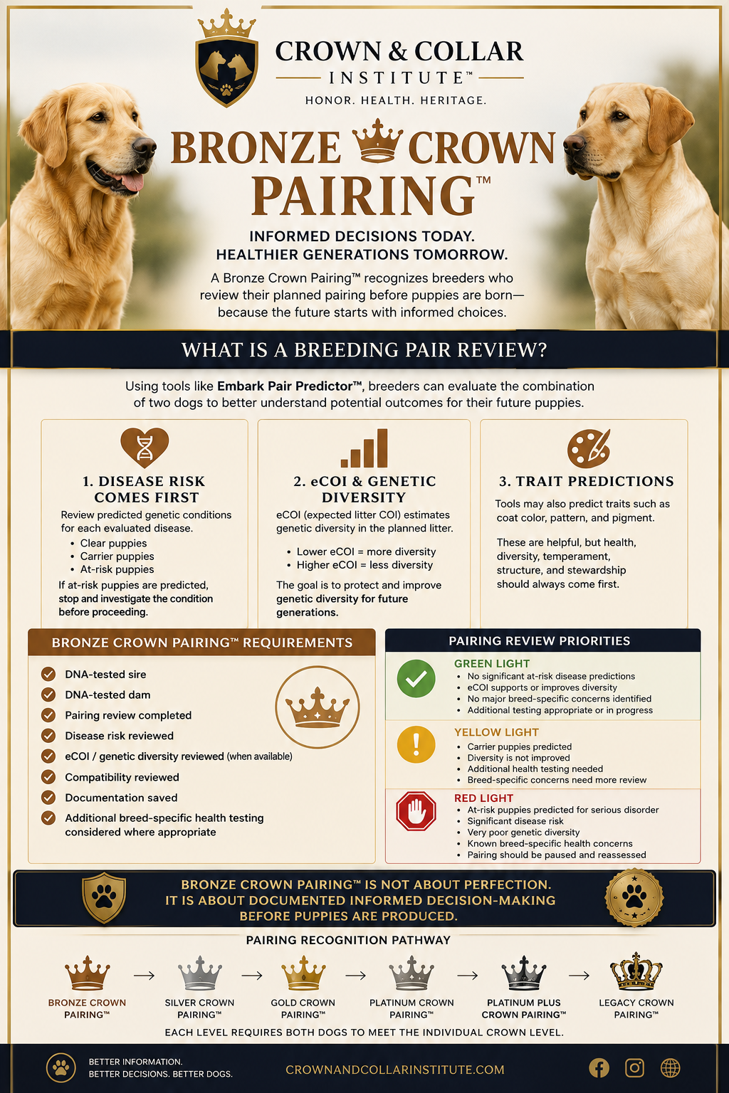 Crown & Collar Institute™ Bronze Crown Pairing™ starter poster — DNA-tested sire and dam, pairing review priorities, and the pairing recognition pathway from Bronze through Legacy Crown Pairing™